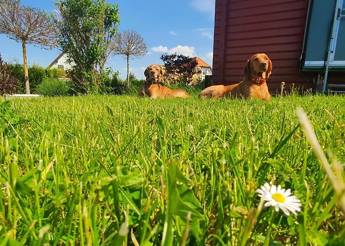 Alten Bahnhof Oberdorla/ Thueringen *